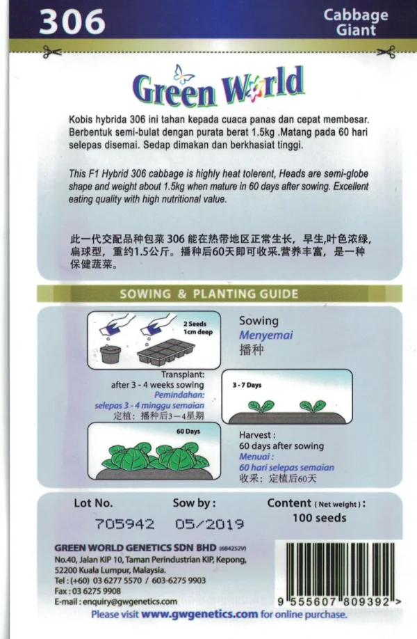 CCI10062017_36_1400x F1 Cabbage - Giant