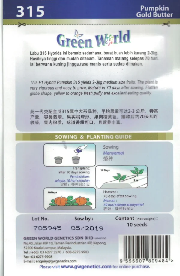 F1 Pumpkin - Gold Butter