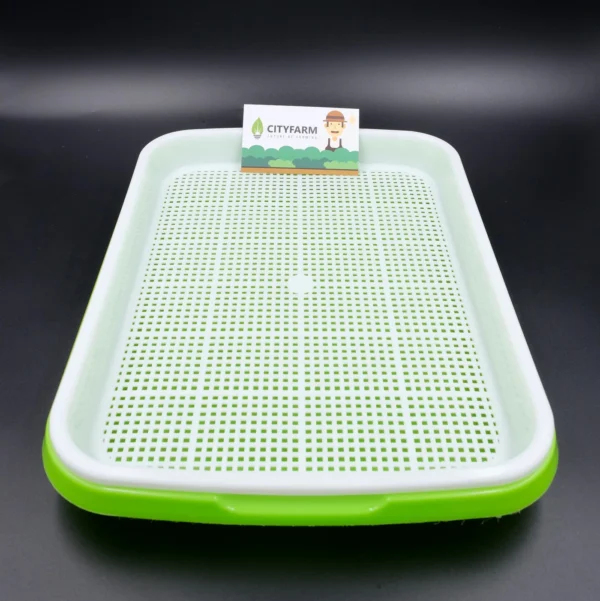 DSCF5323_1400x Nursery Tray