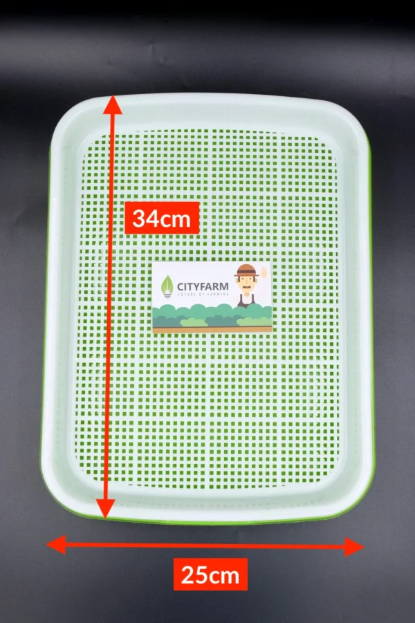 DSCF5334_1400x Nursery Tray