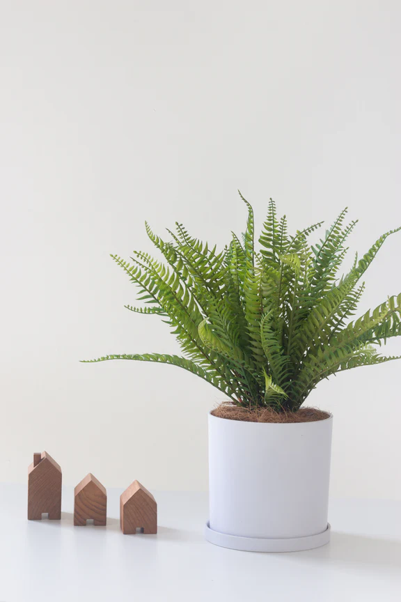 Faux Fern