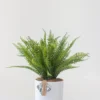 Faux Fern
