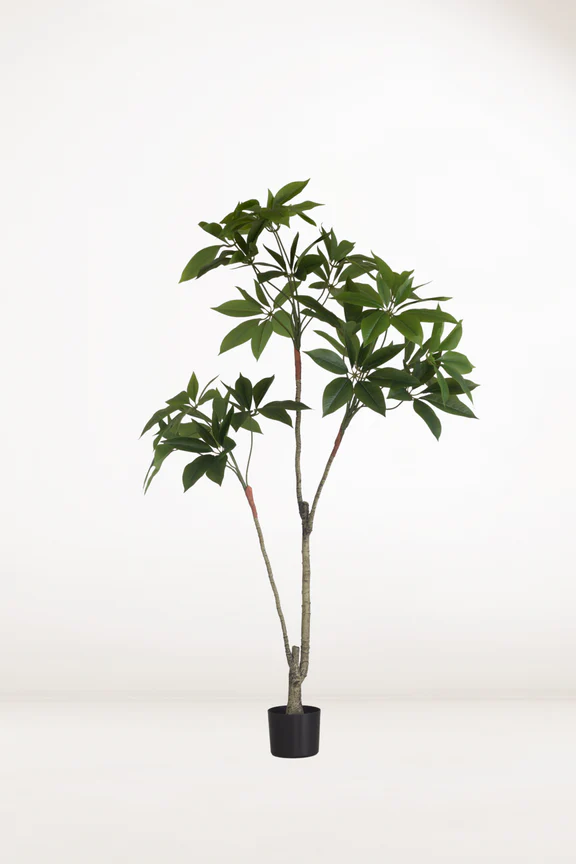 Faux Money Tree