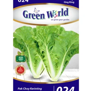 Chinese Cabbage - Ong King