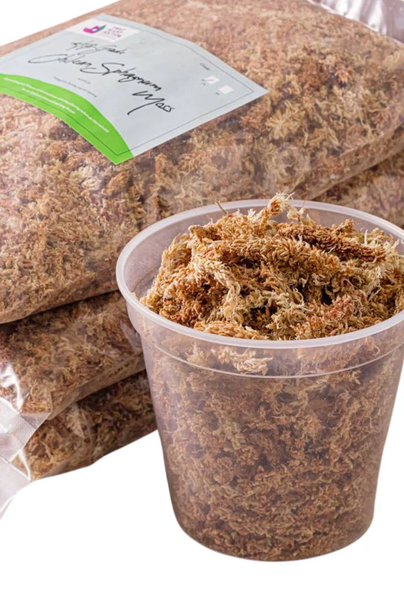 spagnummoss7a2_576x Chilean Sphagnum Moss (Grade 7A)