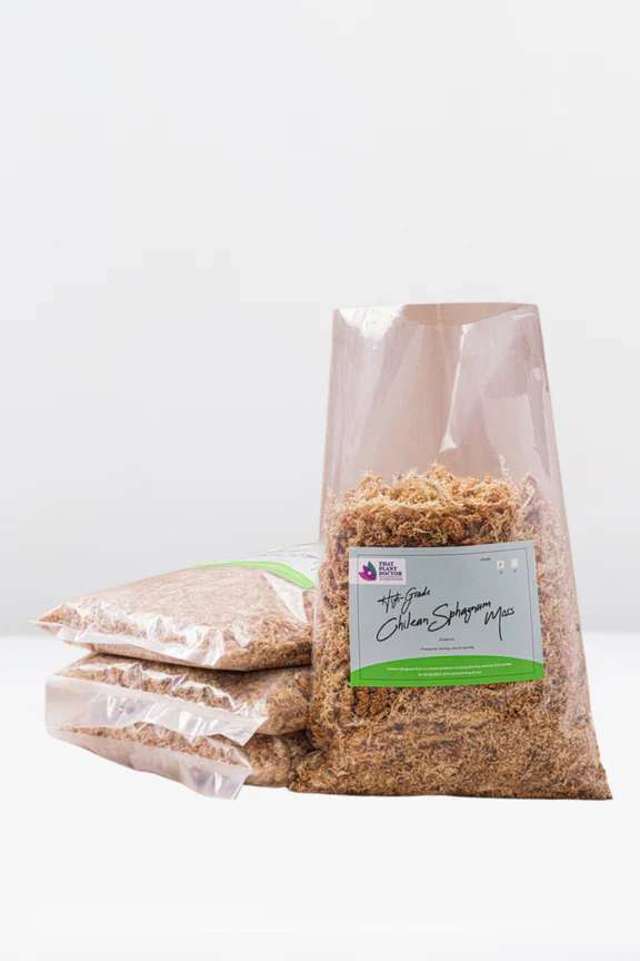 spagnummoss7a_576x Chilean Sphagnum Moss (Grade 7A)